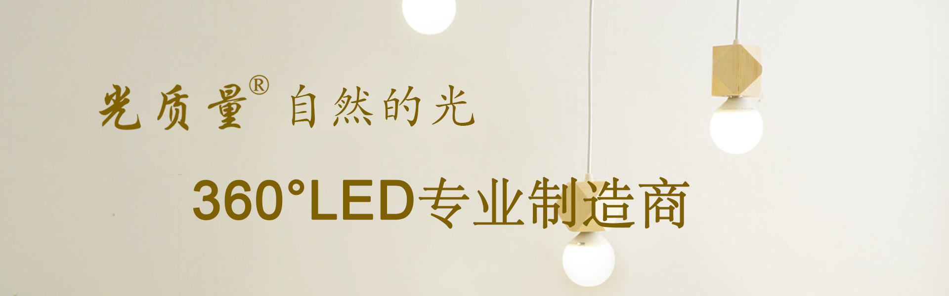 LED成品灯